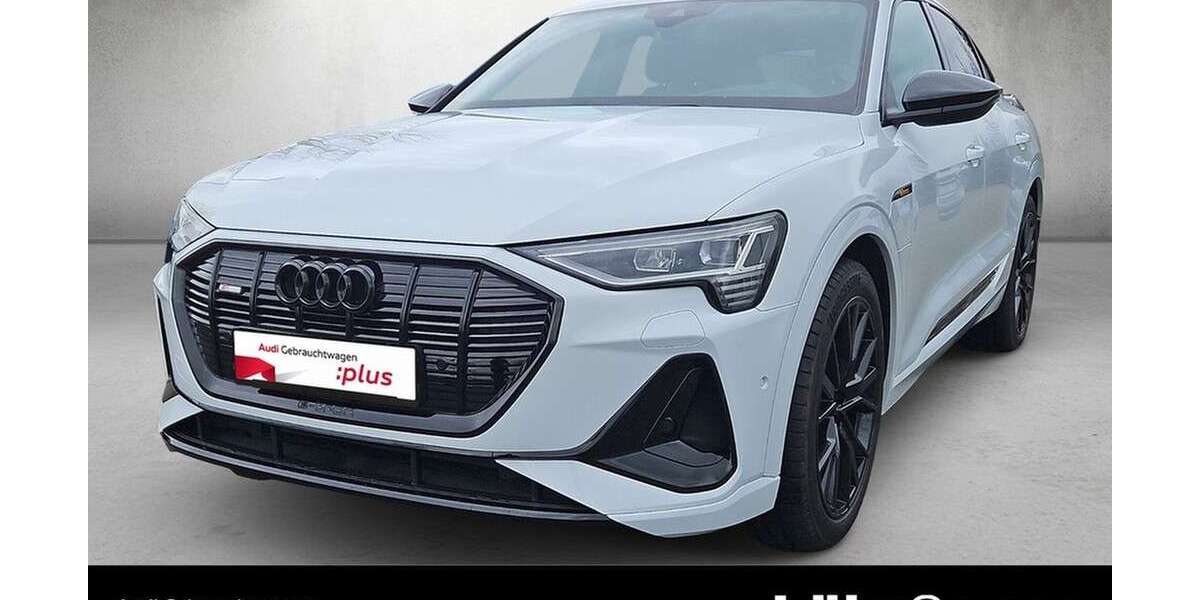 Audi e-tron 50.279 km 39.980 &euro; Mainz 55131