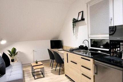 Moderne, möblierte 2-Zimmer-Wohnung ideal für Business-Reisende 2 zimmer