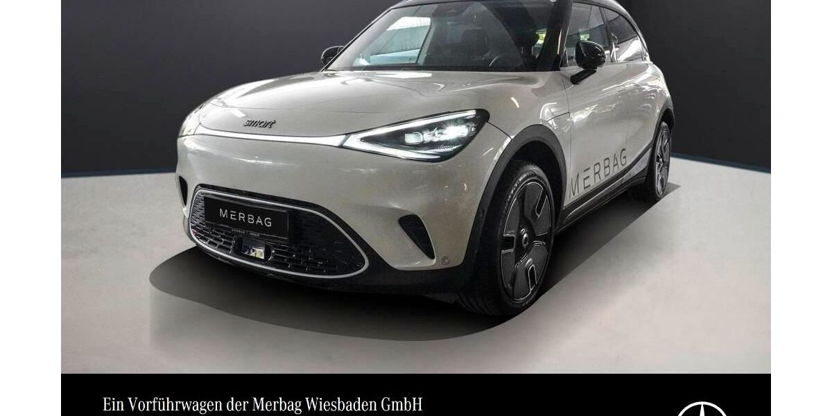 Smart #1 9.300 km 34.290 &euro; Wiesbaden 65189