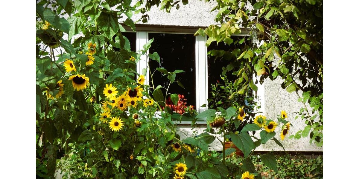 TaunusPerle: Wunderschöne, barrierefr. 2,5-Zi.-EG-Terrassenwhg. 2 zimmer