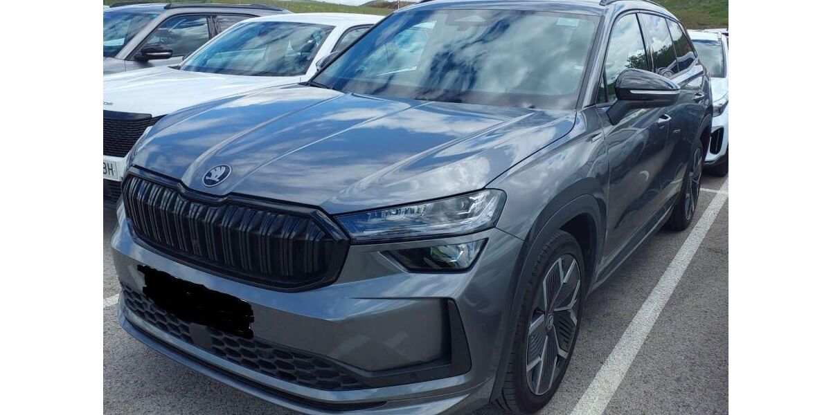 Skoda Kodiaq 33.370 km 39.980 &euro; Rüsselsheim 65428