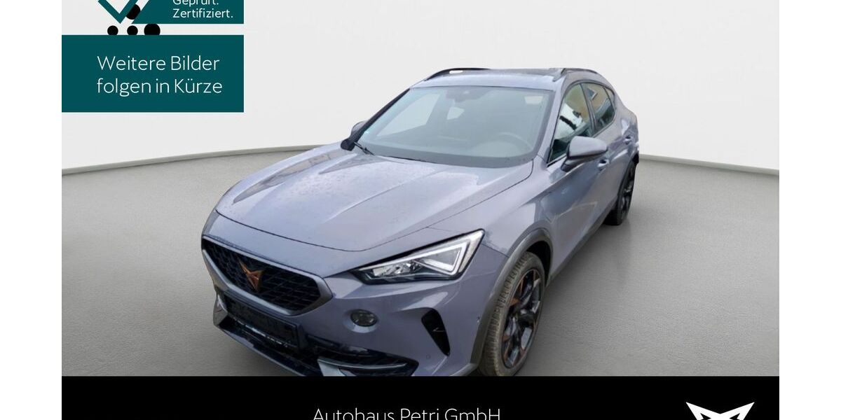 Cupra Formentor 41.236 km 26.990 &euro; Hofheim-Diedenbergen 65719
