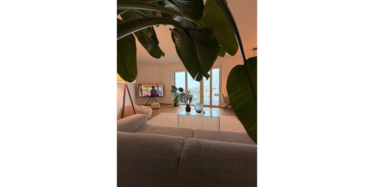 Fully Furnished Premium Apartment with Direct Rhine River Access 3 zimmer