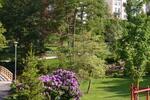 Etagenwohnung Bad Schwalbach - 2 Zimmer, 50 m&sup2;, 565&euro; | Angebot:26660237