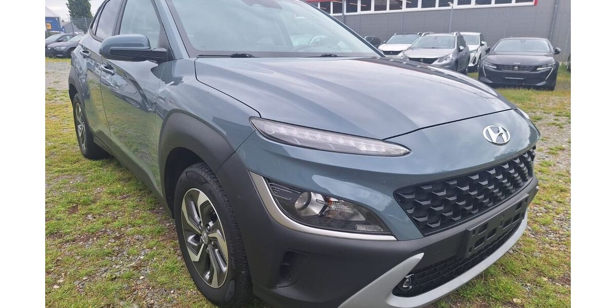 Hyundai KONA 99.000 km 16.065 &euro; Kelkheim 65779