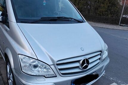 Mercedes Viano