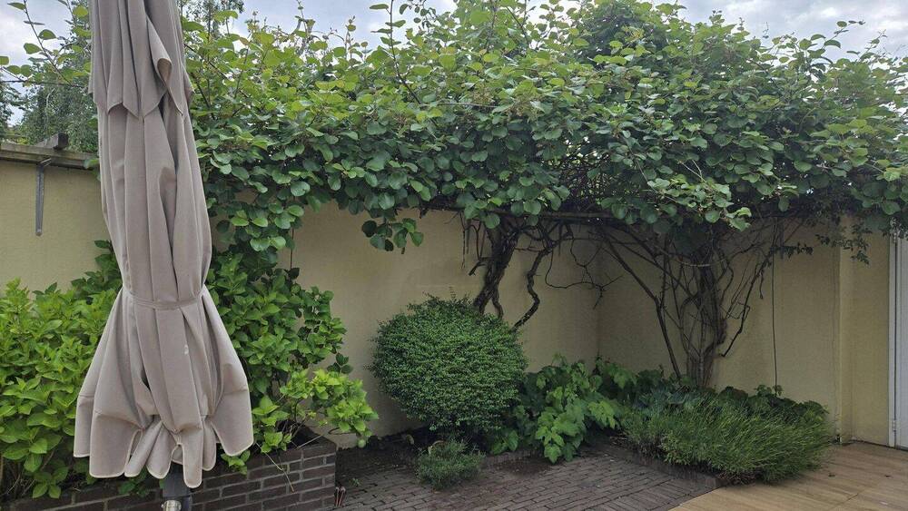 Doppelhaushälfte Hofheim - 5 Zimmer, 153 m&sup2;, 975.000&euro; | Angebot:26534954