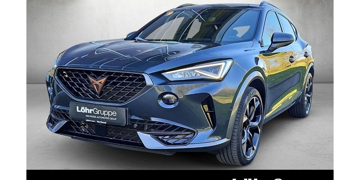 Cupra Formentor 19.822 km 28.780 &euro; Mainz 55120