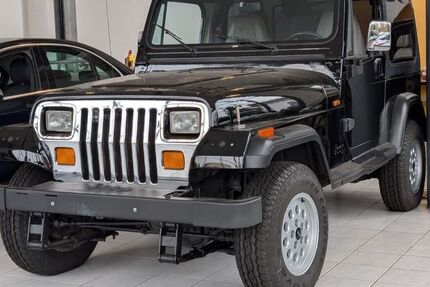 Jeep Wrangler 110.000 km 17.990 &euro; Mainz 55128