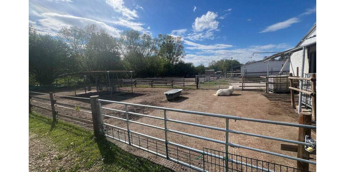 Mehrfamilienhaus, Wohnhaus Wiesbaden Biebrich - 1 Zimmer, 290 m&sup2;, 4.500&euro; | Angebot:25928938