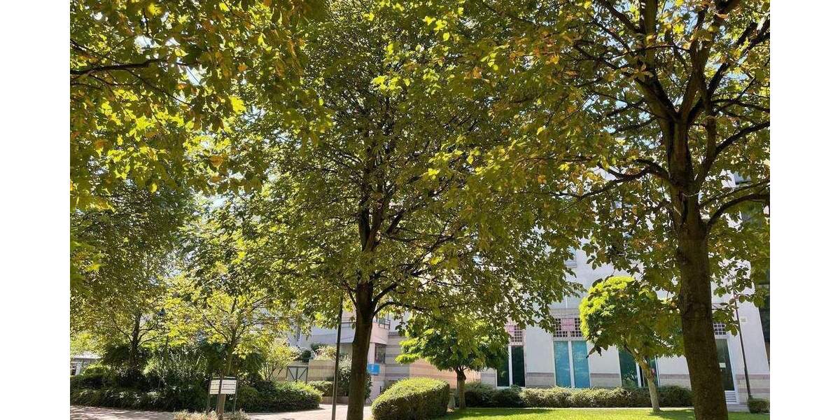 *NEU* EIN ECHTER LAGEDIAMANT! JETZT ALS VERMIETETE WOHNUNG KAUFEN SPÄTER SELBST DARIN WOHNEN! 2 zimmer