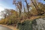 Grundstück Eppstein Vockenhausen - 286.000&euro; | Angebot:25742233