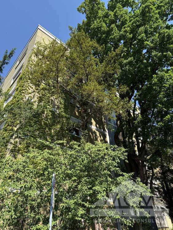 Wohnung zum Kaufen in Frankfurt am Main 327.800 € 42 m²