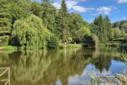 Spezialgewerbe in Hunstetten 179.500 € 7093 m² zimmer