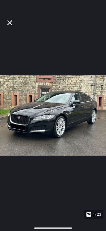 XF