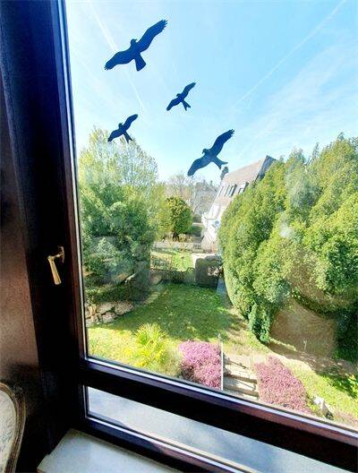 Etagenwohnung Wiesbaden Sonnenberg - 2 Zimmer, 104 m&sup2;, 429.800&euro; | Angebot:25666933