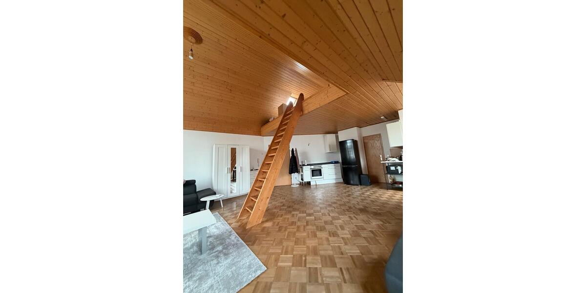 Loft - Studio - Atelier Ingelheim am Rhein - 1.5 Zimmer, 50 m&sup2;, 600&euro; | Angebot:26443966
