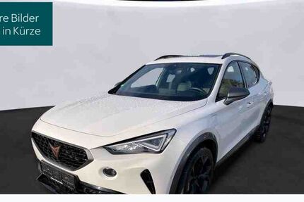 Cupra Formentor 44.740 km 27.730 &euro; Hofheim-Diedenbergen 65719