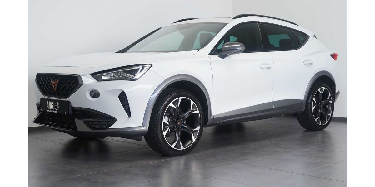 Cupra Formentor 17.316 km 26.950 &euro; Wiesbaden 65205