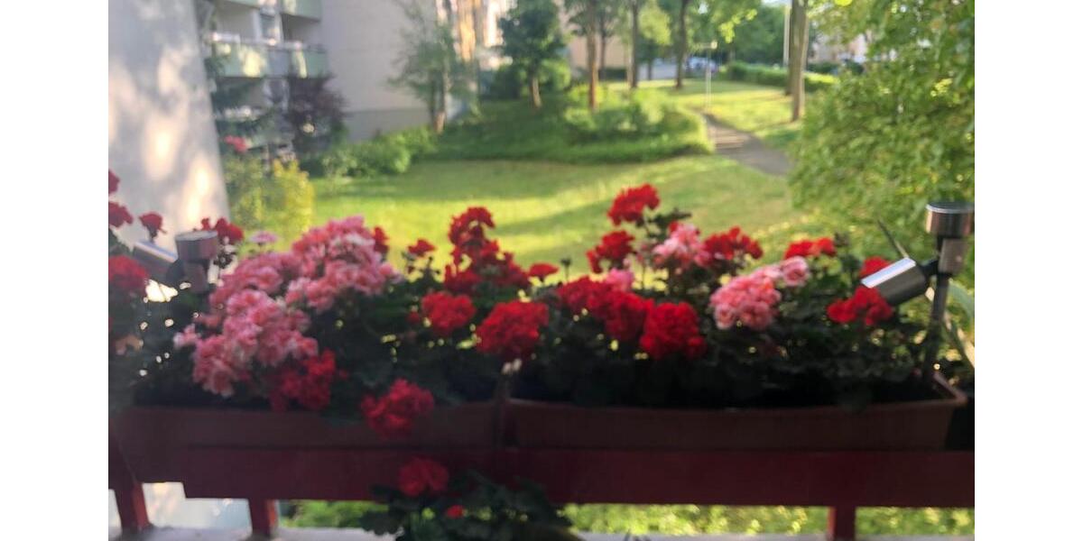 Sehr schöne 3 Zimmer Wohnung zum verkaufen direkt von Eigentum 3 zimmer