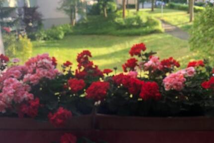 Sehr schöne 3 Zimmer Wohnung zum verkaufen direkt von Eigentum zimmer