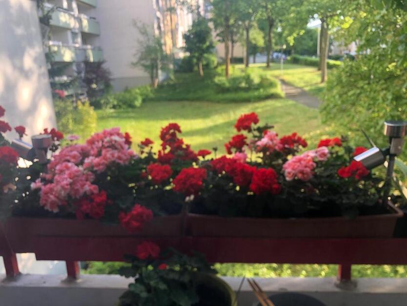 Sehr schöne 3 Zimmer Wohnung zum verkaufen direkt von Eigentum zimmer