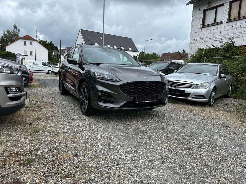 Kuga