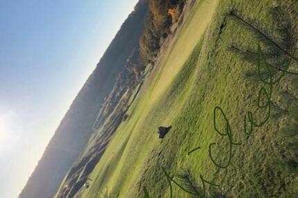 Wohnung Taunusstein - 2 Zimmer, 50 m&sup2;, 548&euro; | Angebot:25268411