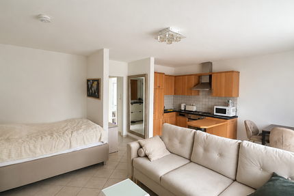 Wohnung Hattersheim - 1 Zimmer, 40 m&sup2;, 680&euro; | Angebot:26496613