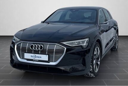 Audi e-tron 21.060 km 35.980 &euro; Mainz 55129