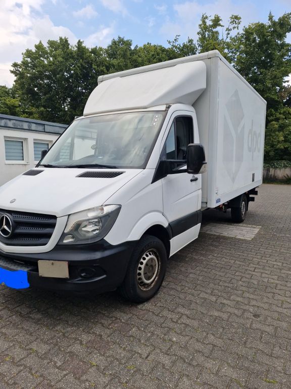 Sprinter