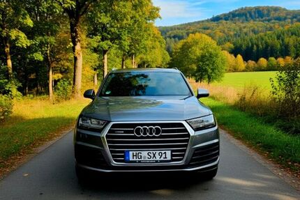 Audi Q7 250.000 km 19.700 &euro; schmitten 61389