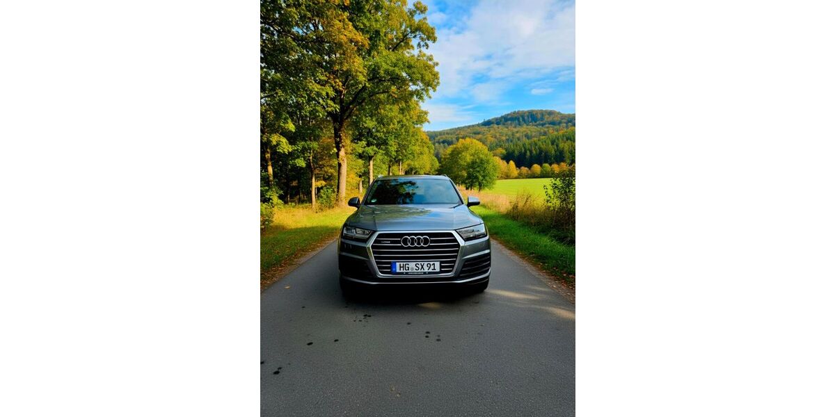 Audi Q7 250.000 km 19.700 &euro; schmitten 61389