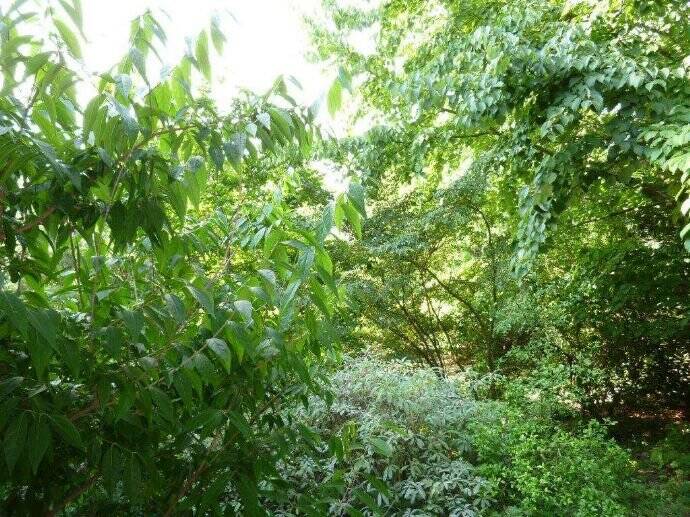 Gewerbeobjekt Kronberg Kronberg - 2.055&euro; | Angebot:25745527