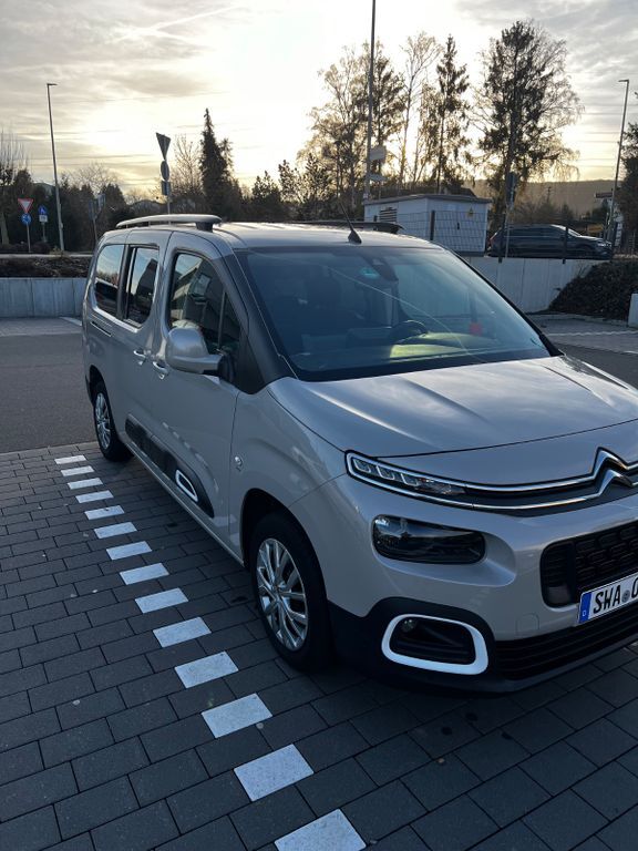 Berlingo