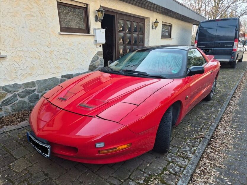 Firebird