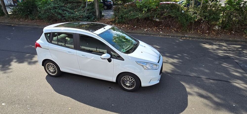 B-Max