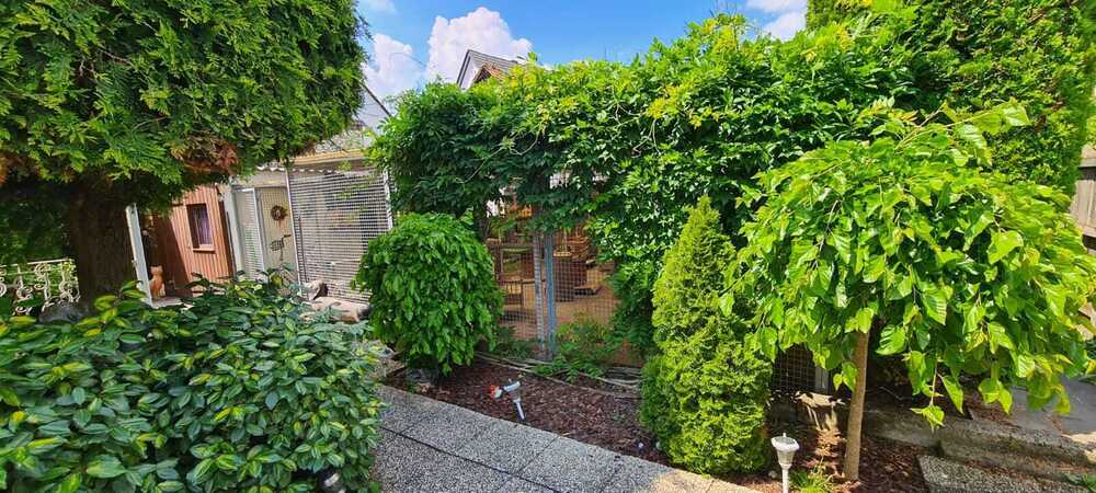 Einzigartige Gelegenheit: Etablierte Katzenpension mit 310 m² überdachtem Außenbereich und Bungalow 5 zimmer