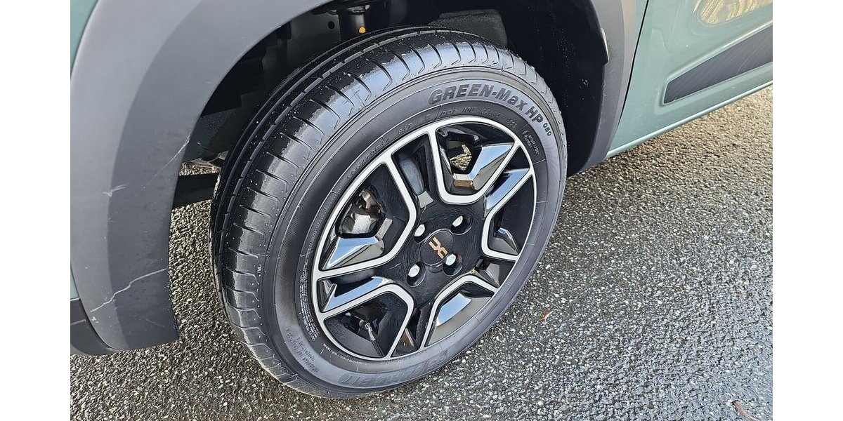 Dacia Spring Electric Extreme 65 21.614 km 10.980 &euro; Schwalbach/Taunus 65824