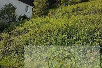 Grundstück zu verkaufen in Lorch 105.000 € 1072 m² zimmer