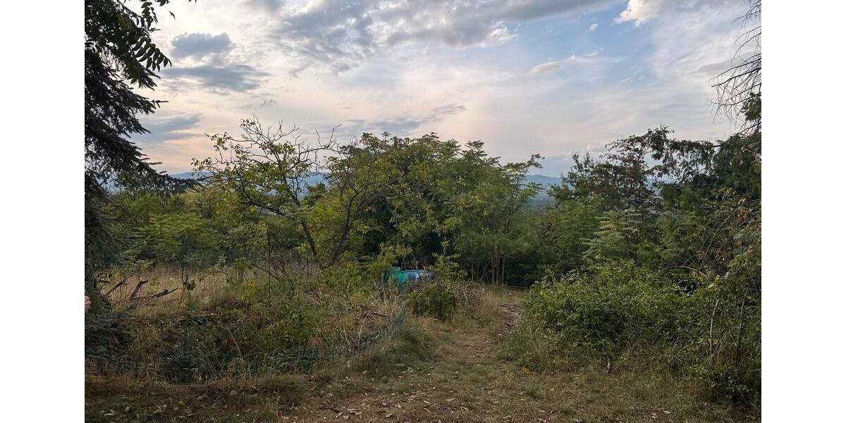 Grundstück Ingelheim am Rhein Heidesheim am Rhein - 220&euro; | Angebot:26323401