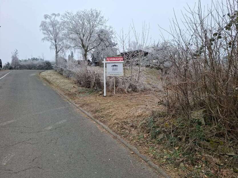 Grundstück zu verkaufen in Geisenheim 395.000 € 1800 m²