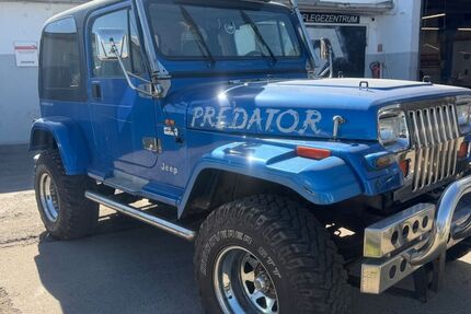 Jeep Wrangler 125.489 km 13.450 &euro; Ginsheim-Gustavsburg 65462