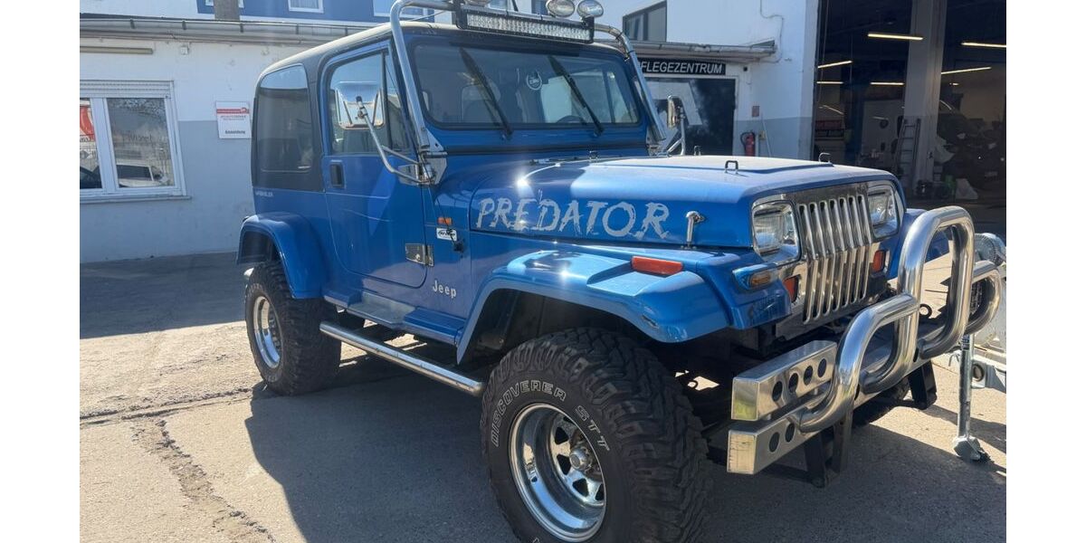 Jeep Wrangler 125.489 km 13.450 &euro; Ginsheim-Gustavsburg 65462