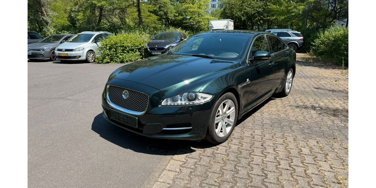 Jaguar XJ 185.282 km 11.990 &euro; Steinbach 61449