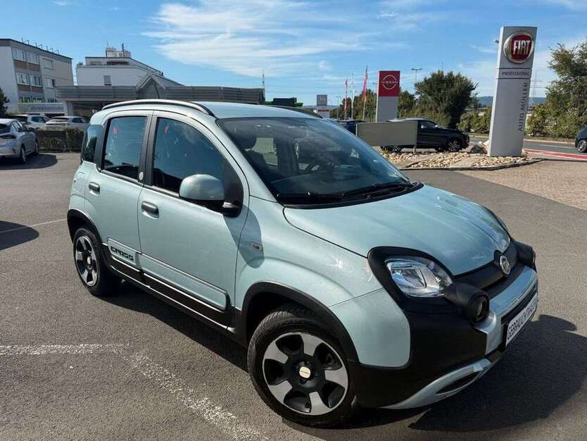Panda