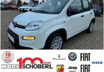 Gebrauchtwagen Fiat Panda