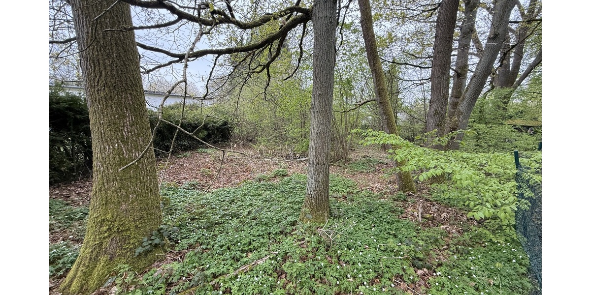 Kelkheim: Idyllisches Grundstück für Ihr Traumhaus im Wochenendgebiet - Grundstück Kelkheim | Angebot:26133970