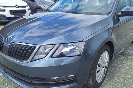 Skoda Octavia 166.000 km 9.520 &euro; Kelkheim 65779