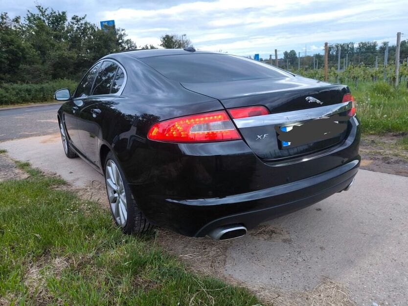 XF